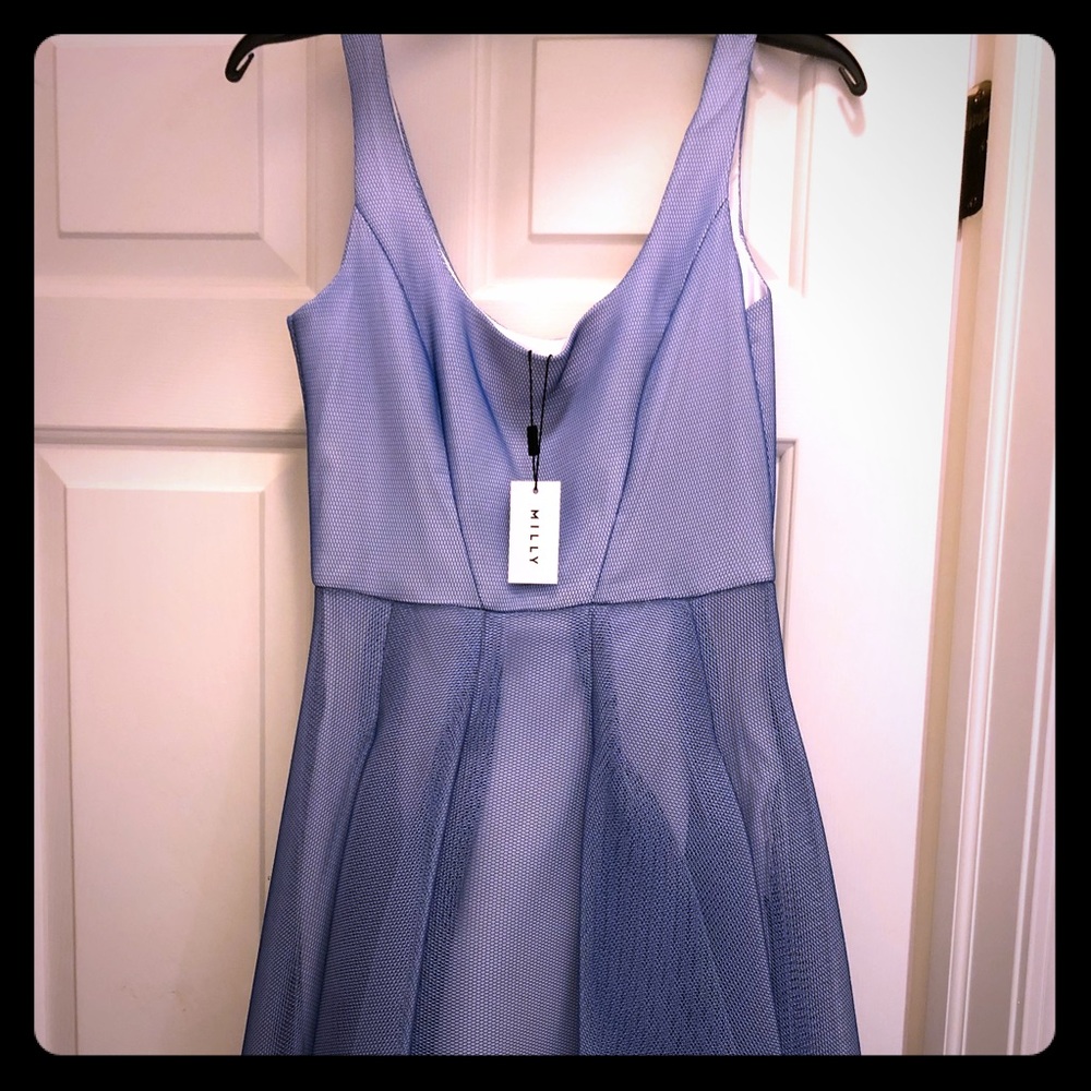 Milly Organza Mesh Bias Tucked Dress